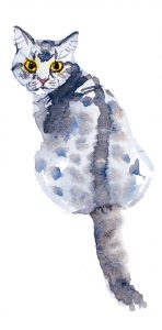 Grey Cat Graphic