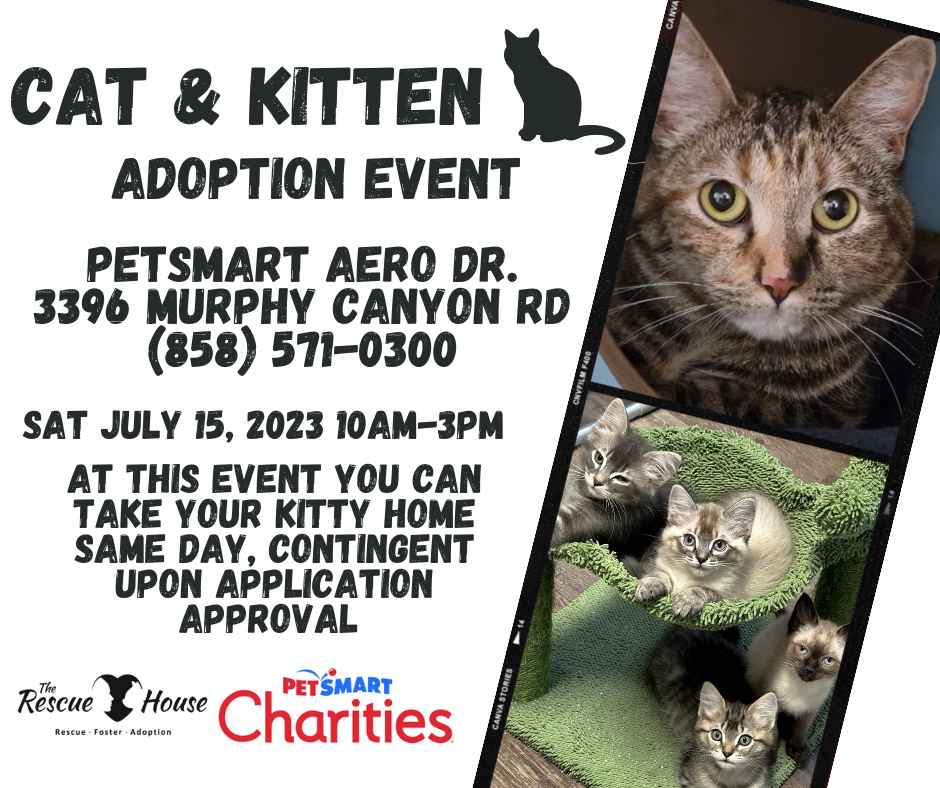 Petsmart kitten deals adoption events