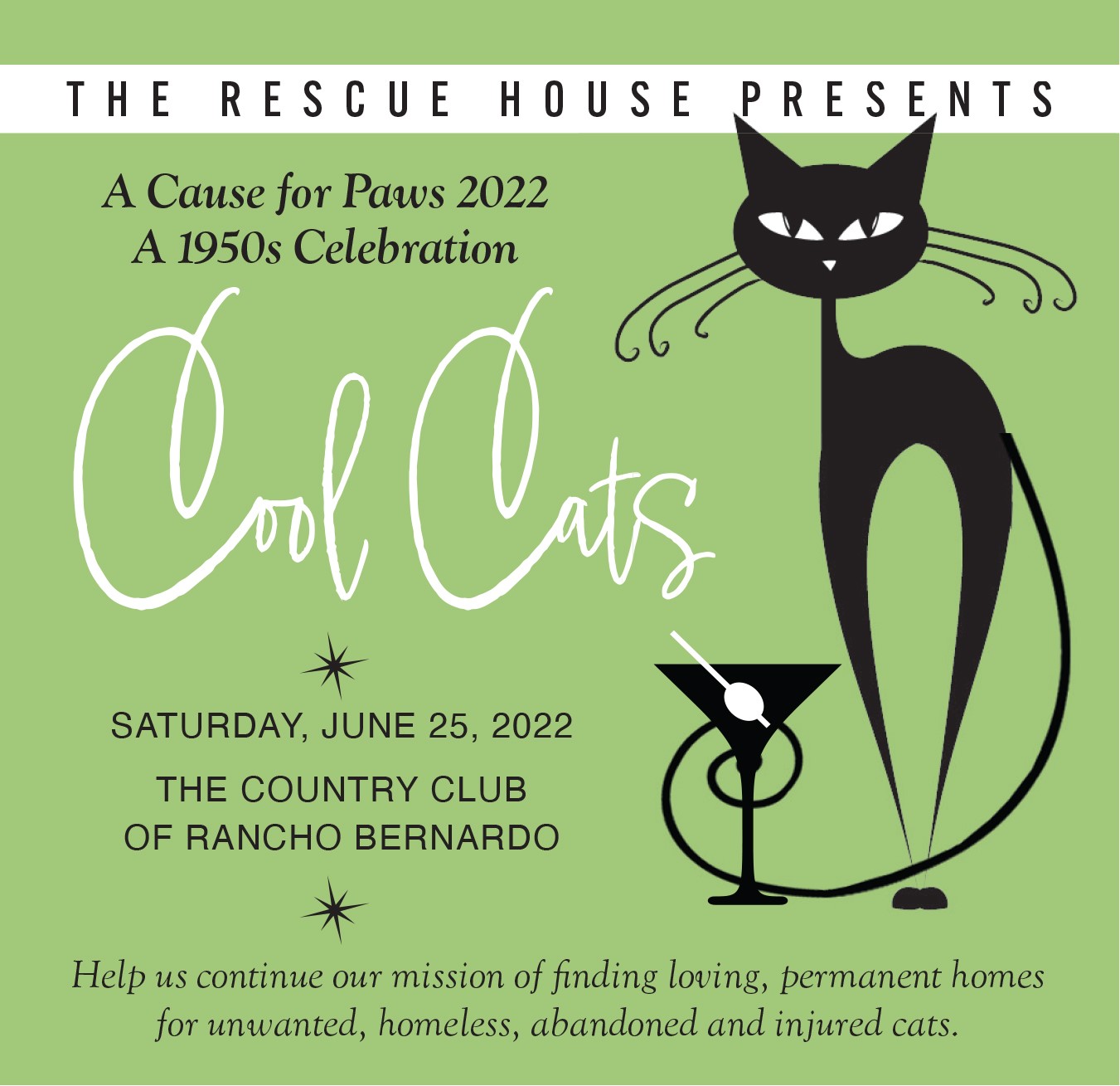 the-rescue-house-san-diego-cat-rescue-cat-adoption