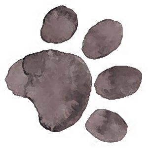 Paw Graphic